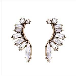 Beautiful earrings